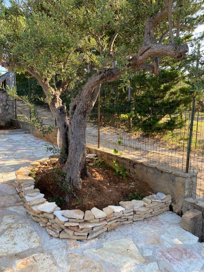 Villa L'Orizzonte Di Calabianca Castellammare del Golfo Exterior foto