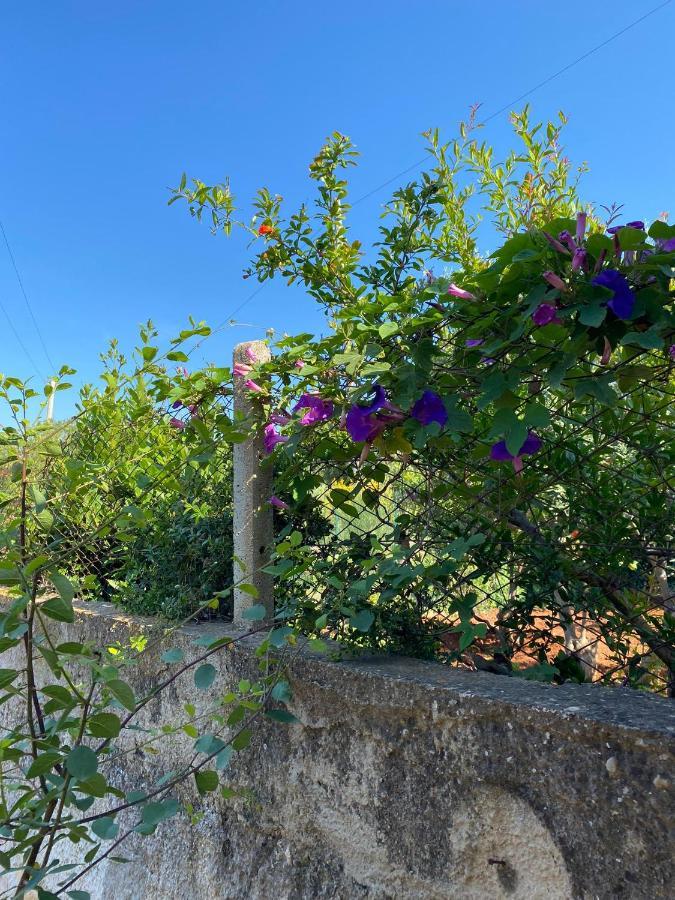 Villa L'Orizzonte Di Calabianca Castellammare del Golfo Exterior foto