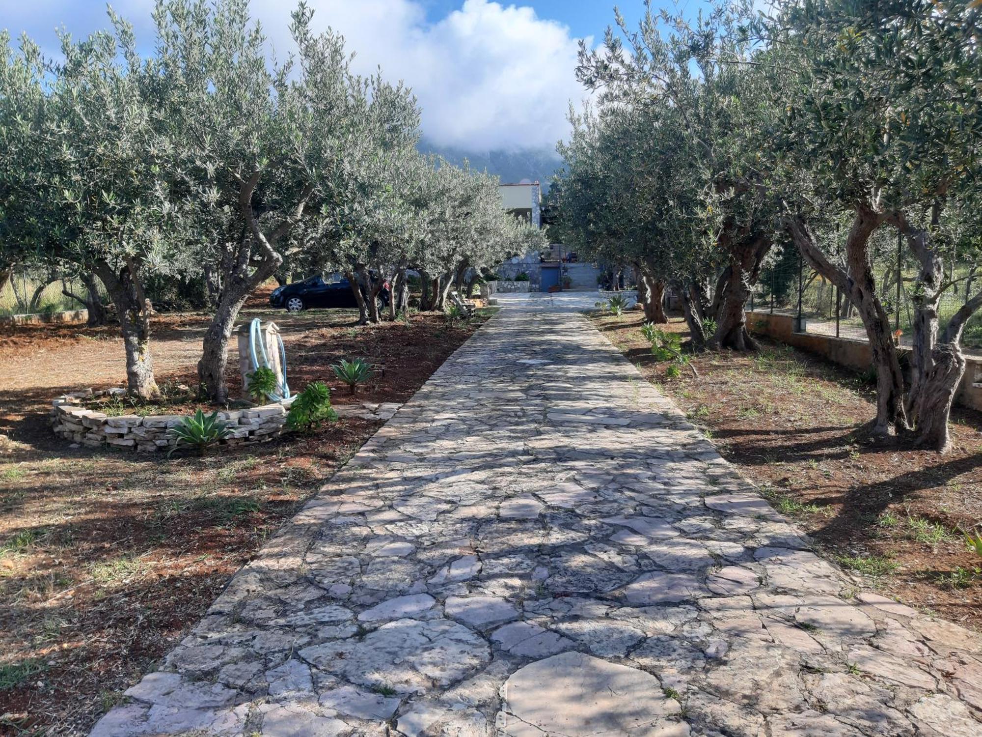 Villa L'Orizzonte Di Calabianca Castellammare del Golfo Exterior foto